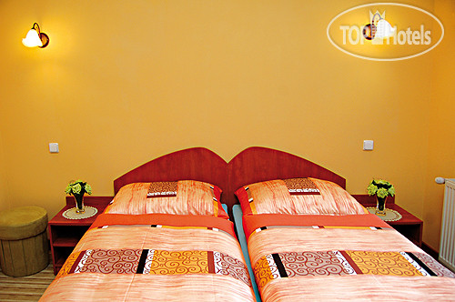New photos from tourists Antik 3*