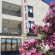 Фото Hasyurt Hotel