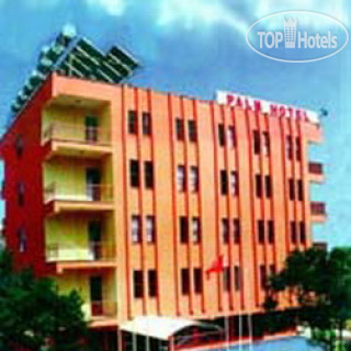 Palm 2*