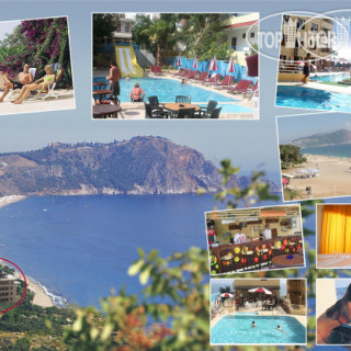 Photos Kleopatra Palmera Beach