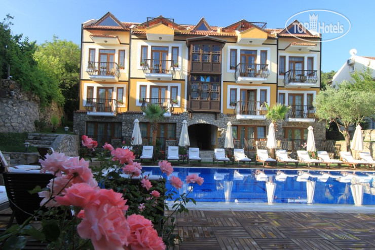 Photos The Olive Tree Studios Hotel