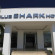 Photos Shark Club Hotel