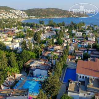 Photos Bitez Garden Life