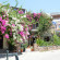 Asterina Hotel 