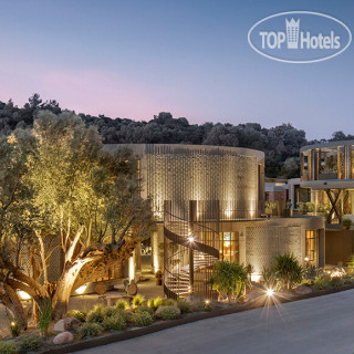 Photos Bobo by The Stay