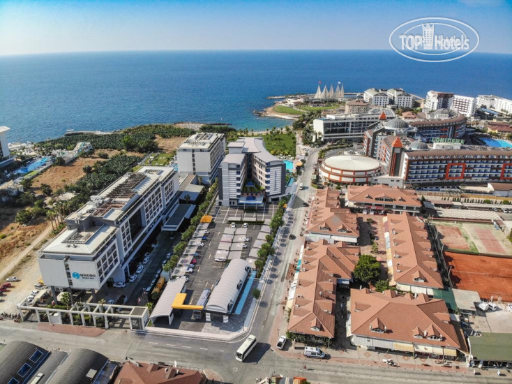 Photos Lonicera Premium