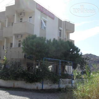 Photos Delfin Gazipasa