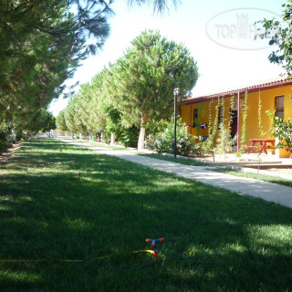 Photos Koru Beach Club Hotel