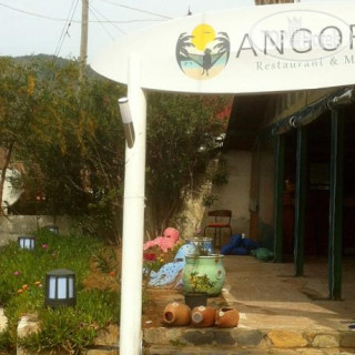Photos Angora Motel & Camping