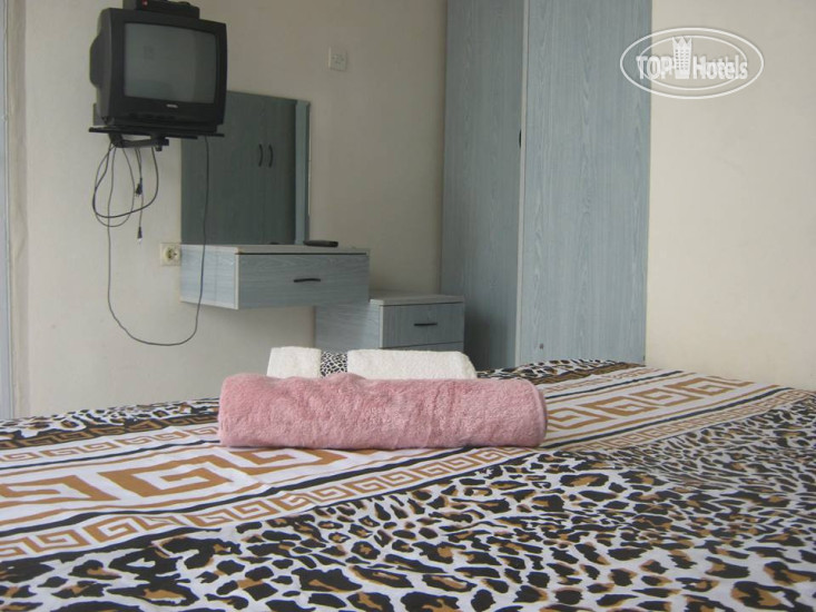 New photos from tourists Ayda Hotel
