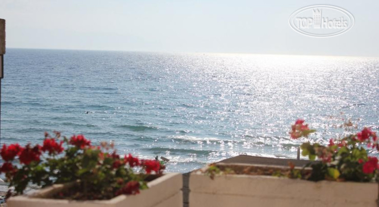 New photos from tourists Ladies Beach Hotel