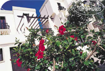 New photos from tourists Art Bodrum 4*
