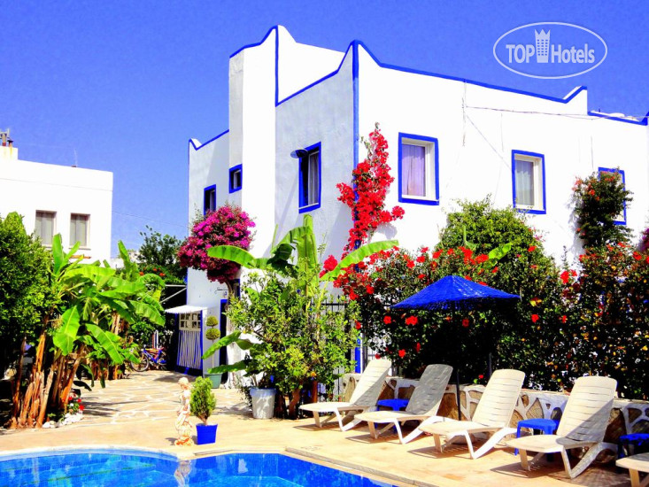 Hotel photo Artunc 3*