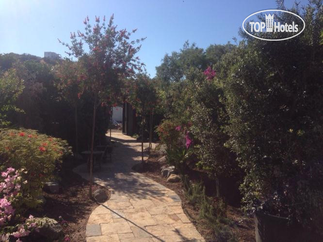 New photos from tourists Princess Artemisia 3*
