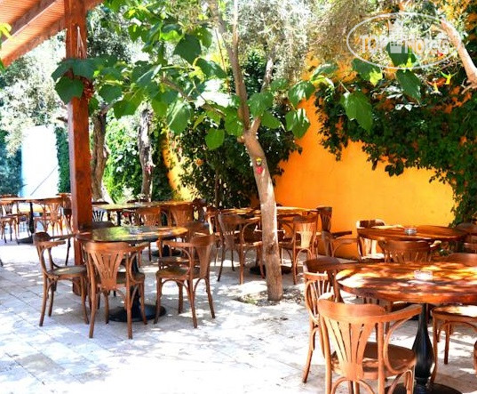 New photos from tourists Centro Bodrum 3*