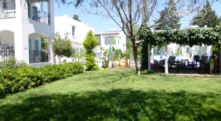 New photos from tourists Nergis Villa