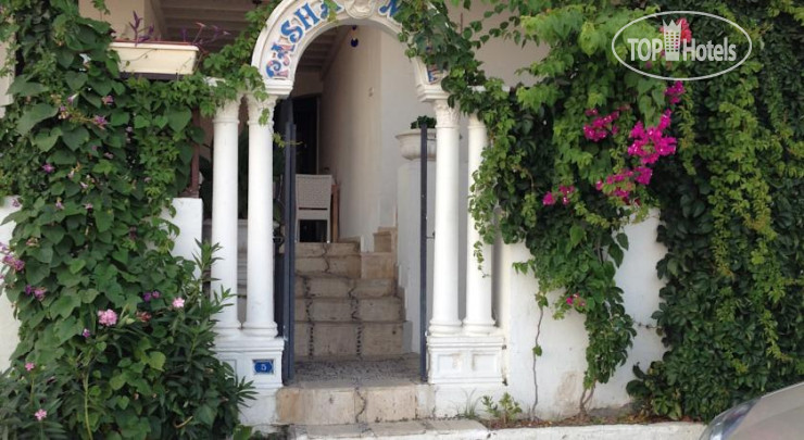 Hotel photo Pasha Motel 
