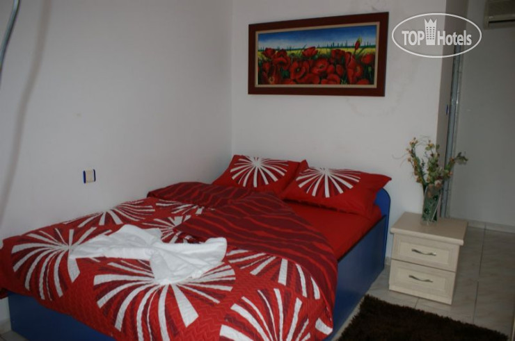 New photos from tourists Okyanus