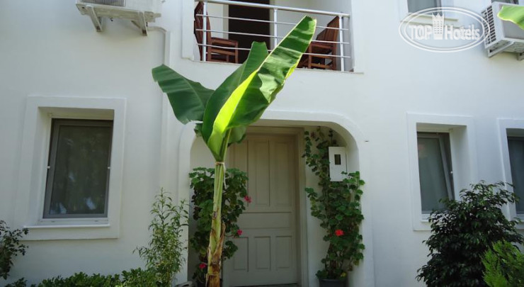 New photos from tourists Ipek Motel