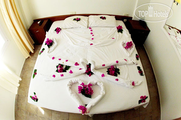 New photos from tourists The Hello Hotel 3*