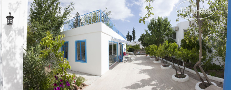 New photos from tourists Esmana