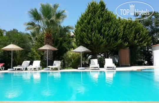 New photos from tourists Sarsilmaz Hotel