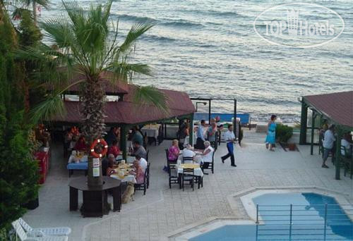 New photos from tourists Cemre 2*