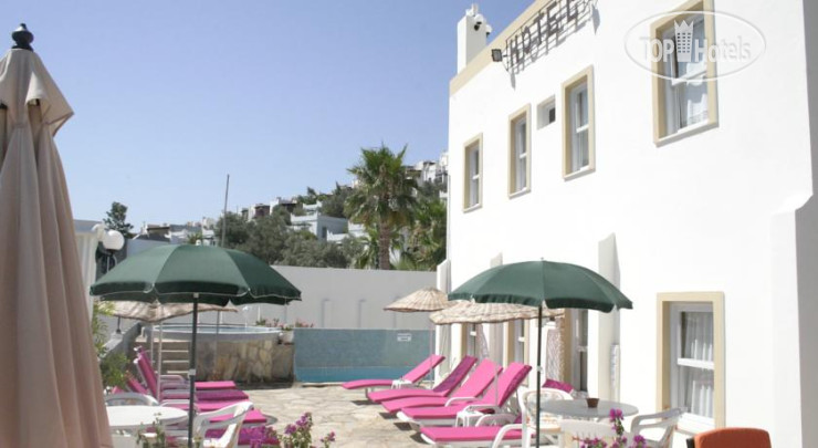 Hotelier's photos Olivia Hotel