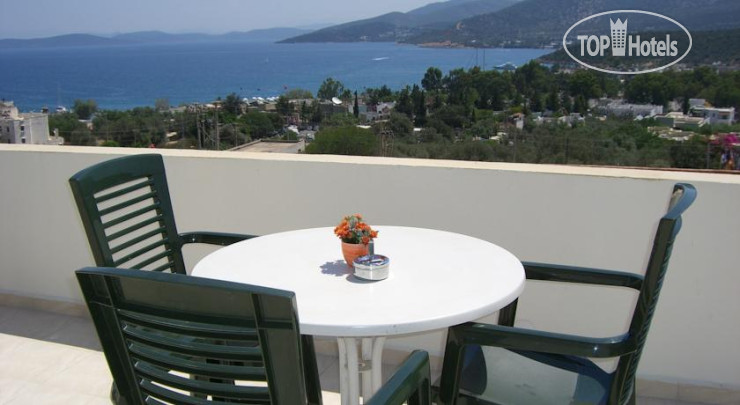 New photos from tourists Olivia Hotel