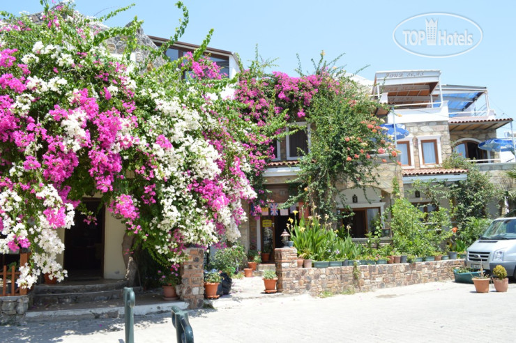 Hotelier's photos Asterina Hotel