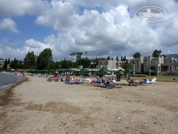 New photos from tourists Ambrosia 4*