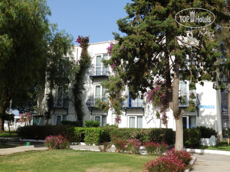Hotelier's photos Ladonia Hotels Luna Beach Resort 4*