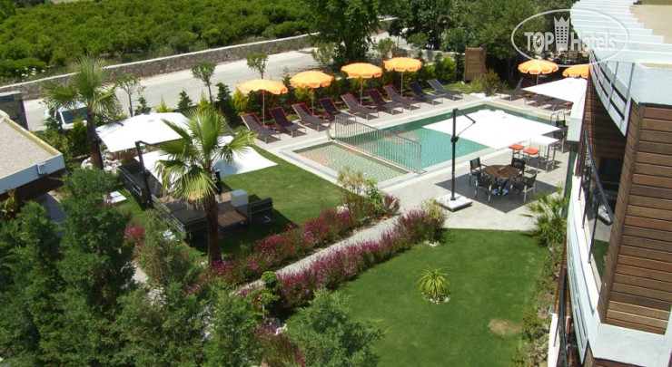 New photos from tourists Yahsis Yahsi Resort