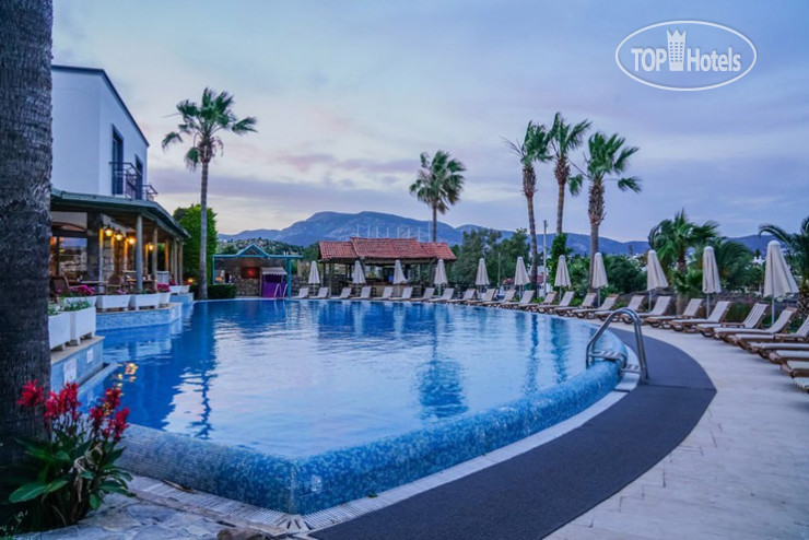 Hotel photo Amilla Beach Resort Bodrum 4*