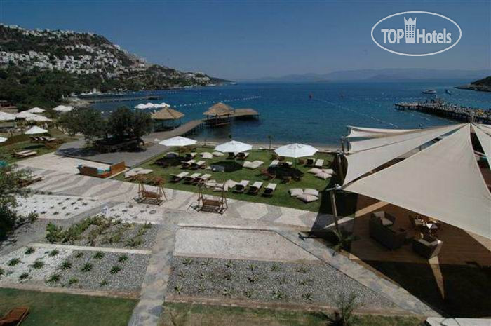 New photos from tourists Terassu Hotel Special Cat.