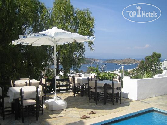 New photos from tourists Panorama Hotel 3*
