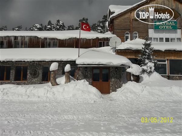 New photos from tourists Baysal Hotel