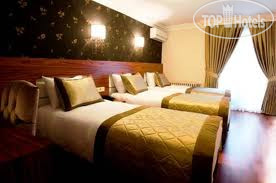 New photos from tourists Dekor 3*