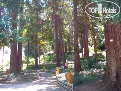 New photos from tourists Yalova Termal Kaplicalari 3*