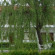 Фото Erkanli Country Resort
