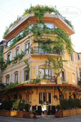 Hotel photo Seven Dreams Hotel 
