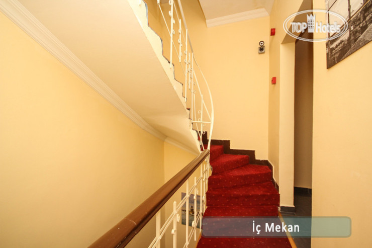 New photos from tourists Azze Hotel