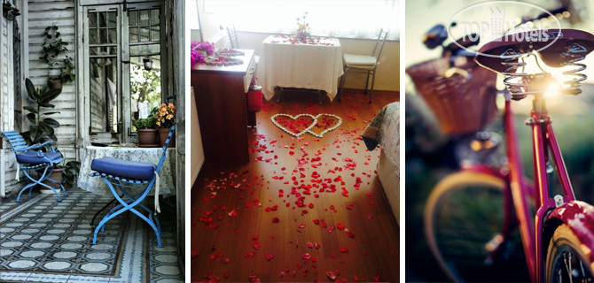 New photos from tourists Kalamari 2 Hotel