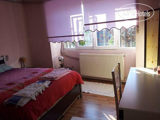 Hotelier's photos The Little House Hostel