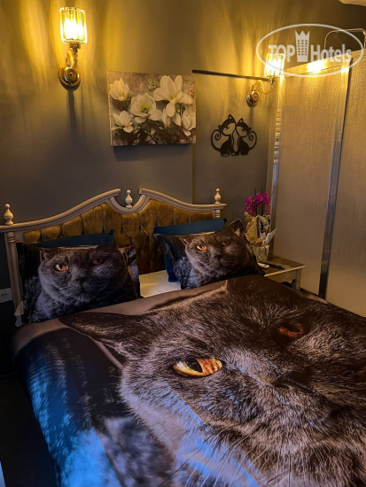 New photos from tourists Galata Design Hotel