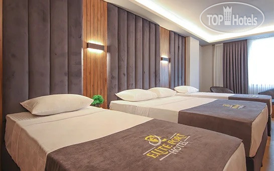 Hotel photo Elite Hotels Istanbul Airport 4*