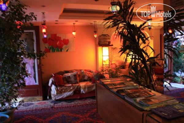 New photos from tourists Cosmopolitan Park 2*