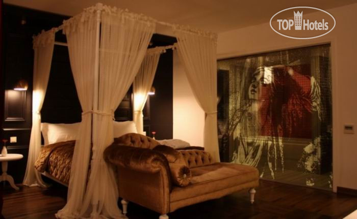 New photos from tourists Senatus Hotel 3*