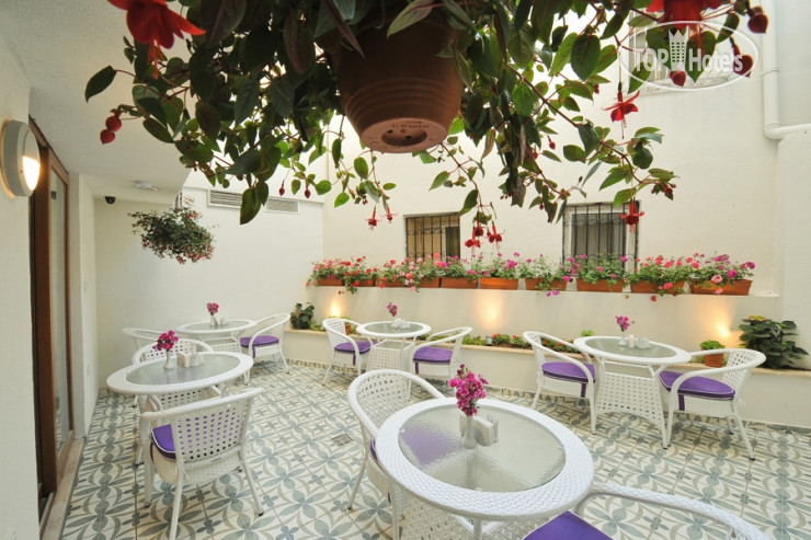 New photos from tourists Albinas Hotel Old City