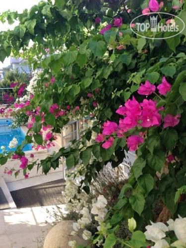 New photos from tourists Zeytin Apart Hotel